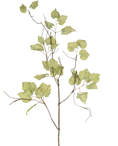 The Artificial dried grape branch 120 cm is a slender brown artificial branch with several light green, papery leaves that resemble a dried vine, against a plain white background.