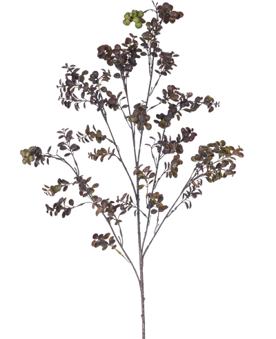 De Kunsttak Eucalyptus bes 110 cm bruin heeft een hoge tak met meerdere dunne stengels, kleine ronde bladeren en trosjes groenbruine bessen tegen een effen witte achtergrond.