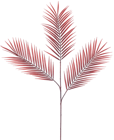 De Kunsttak Varen 100 cm rood heeft vijf lange, smalle rode palmbladeren die zich verspreiden vanaf een enkele steel, tegen een effen witte achtergrond.