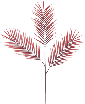 De Kunsttak Varen 100 cm rood heeft vijf lange, smalle rode palmbladeren die zich verspreiden vanaf een enkele steel, tegen een effen witte achtergrond.