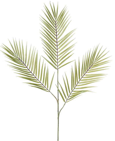 De Kunsttak Varen 100 cm groen heeft een enkele groene kunstvarentak met vijf lange, smalle, stekelige bladeren die uit een centrale steel steken, tegen een witte achtergrond.