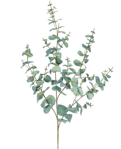 De Kunst Eucalyptus 120 cm heeft meerdere dunne stelen en ronde, blauwgroene bladeren tegen een effen witte achtergrond.