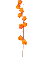 Een enkele stengel van Kunstbloem Physalis Lampion 90 cm oranje, met meerdere fel oranje, lampionvormige peulen, wordt getoond tegen een effen witte achtergrond.