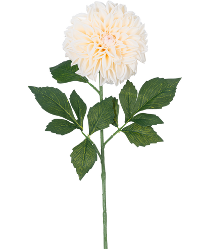 De Kunstbloem Dahlia Real Touch Beige 72 cm heeft een enkele beige dahlia met gelaagde bloemblaadjes en groene bladeren op een lange steel, geïsoleerd op een witte achtergrond.