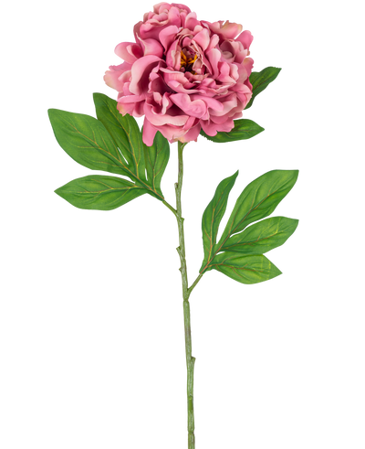 De Kunstbloem Pioen 77 cm roze heeft een enkele roze pioenroos met gelaagde bloemblaadjes en groene bladeren op een lange, slanke steel tegen een witte achtergrond.