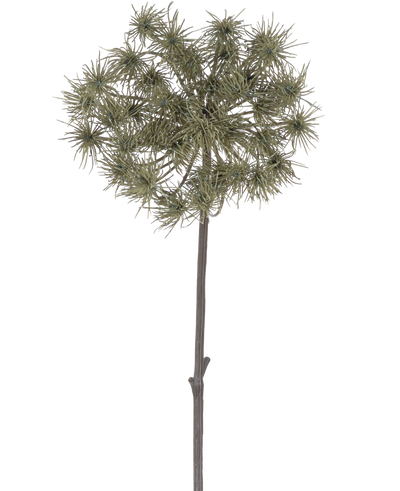 De Kunstbloem Berenklauw 100 cm is een enkele kunststengel met trosjes piekerige, groengrijze bloemhoofdjes, rechtopstaand tegen een effen witte achtergrond.