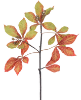 A Artificial Chestnut Branch 91 cm red/green branch with bunches of red and green leaves, some with brown edges, together with small brown seed pods against a white background.