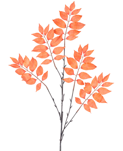 De Kunsttak Varen vertakt 83 cm oranje heeft drie trossen dunne, donkere stelen met talrijke oranjerode, ovale bladeren die symmetrisch in een open spreiding tegen een witte achtergrond staan.