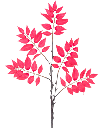 De Kunsttak Varen vertakt 83 cm rood heeft een aantal dunne stengels met clusters van levendige rode bladeren, allemaal symmetrisch gerangschikt op een witte achtergrond.
