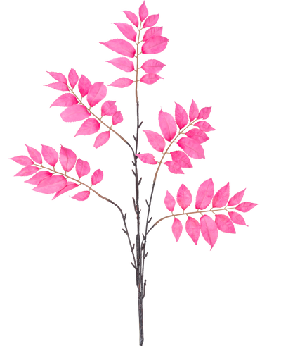 De Kunsttak Varen vertakt 83 cm roze heeft een enkele donkerbruine stengel die zich vertakt in meerdere kleinere stengels, elk versierd met clusters van levendige roze bladeren op een witte achtergrond.