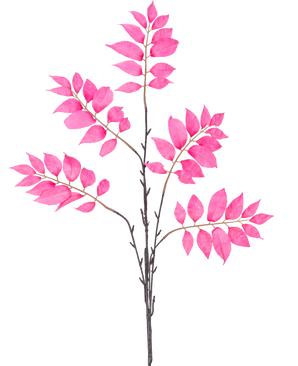 De Kunsttak Varen vertakt 83 cm roze heeft een enkele donkerbruine stengel die zich vertakt in meerdere kleinere stengels, elk versierd met clusters van levendige roze bladeren op een witte achtergrond.