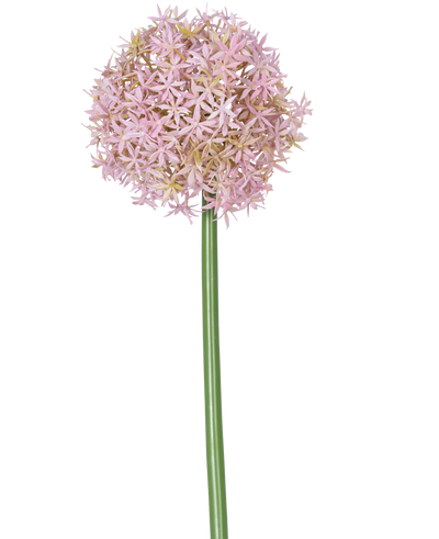 Een enkele hoge paarse stengel van de Kunstbloem Allium Groot 80 cm, met daarop een grote, ronde tros kleine stervormige bloemen, afgebeeld op een witte achtergrond.