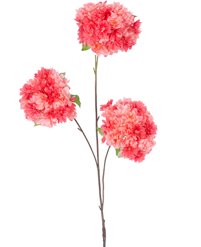 Op een enkele dunne bruine steel van de Kunsttak Kersenbloesem 85 cm koraal staan drie trossen levendige roze en koraal kersenbloesems met groene blaadjes, tegen een effen witte achtergrond.