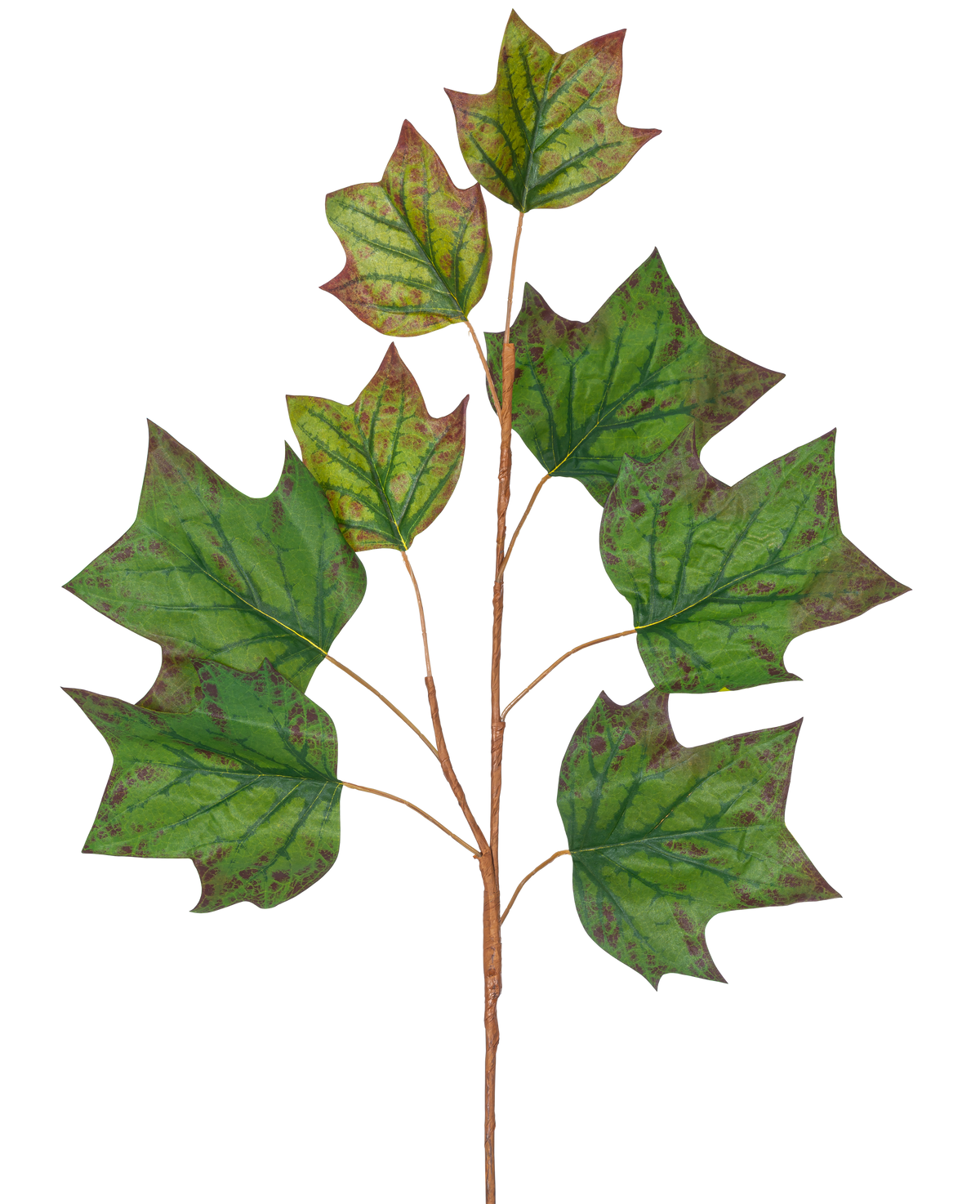 A branch of Artificial Branch Oak Leaf 84 cm green with several large, green, oak-shaped leaves with brown-red spots against a plain white background.