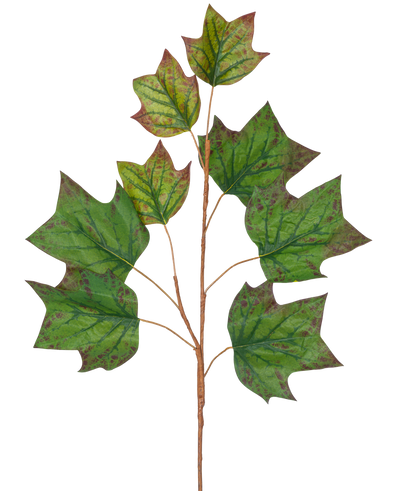 Een tak van Kunsttak Eikenblad 84 cm groen met verschillende grote, groene, eikvormige bladeren met bruinrode vlekken tegen een effen witte achtergrond.