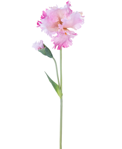 De Kunstbloem Iris 80 cm roze heeft een enkele roze irisstengel met ruches in de bloemblaadjes en een gesloten knop, tegen een effen witte achtergrond.