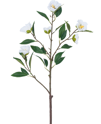 De Kunstbloem Camellia 80 cm wit heeft een enkele tak met meerdere groene bladeren en meerdere bloeiende witte bloemen tegen een effen witte achtergrond.