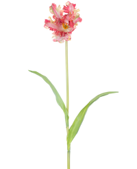 Artificial Flower French Parakeet Tulip 76 cm Red/Yellow