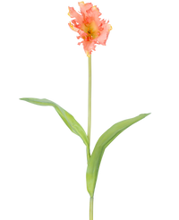 Artificial Flower French Parakeet Tulip 76 cm Coral