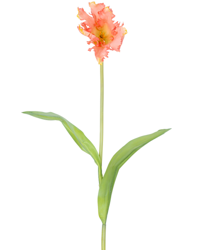 Een enkele Kunstbloem Franse Parkiet Tulp 76 cm koraal met ruches van roze en gele bloemblaadjes en twee lange groene bladeren op een lange steel, tegen een effen witte achtergrond.