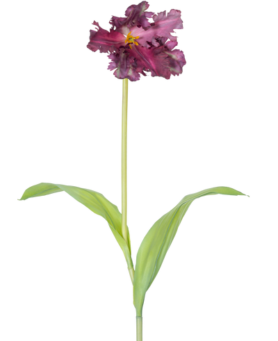 De Kunstbloem Franse Parkiet Tulp 76 cm paars is een enkele kunstmatige paarse tulp met ruches in de bloemblaadjes en twee langwerpige groene bladeren op een lange steel, tegen een effen witte achtergrond.