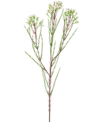 Artificial Branch Waxflower 78 cm Creme