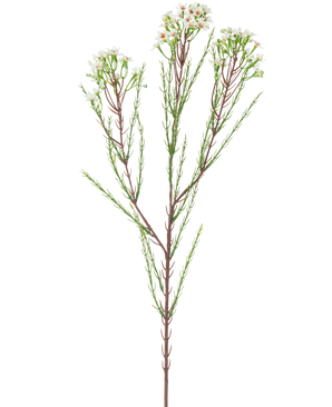 De Kunsttak Waxflower 78 cm creme heeft een enkele hoge steel met dunne groene blaadjes en trosjes kleine, roomwitte bloemen aan de bovenkant, tegen een effen, lichte achtergrond.