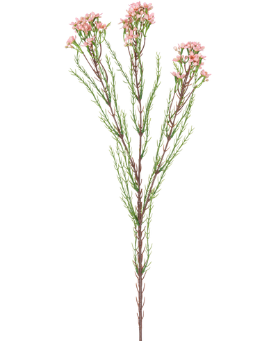De Kunsttak Waxflower 78 cm roze heeft een enkele steel met dunne groene blaadjes en verschillende trosjes kleine, lichtroze bloemen aan de bovenkant, tegen een witte achtergrond.