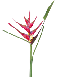 Artificial flower heliconia 90 cm fuchsia