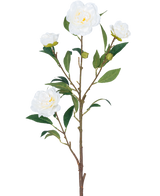 De Kunstbloem Camellia 80 cm wit heeft een enkele bruine steel met meerdere groene bladeren en verschillende witte camelia bloemen, sommige bloeiend en anderen in knopvorm, allemaal tegen een effen witte achtergrond.