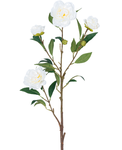 De Kunstbloem Camellia 80 cm wit heeft een enkele bruine steel met meerdere groene bladeren en verschillende witte camelia bloemen, sommige bloeiend en anderen in knopvorm, allemaal tegen een effen witte achtergrond.