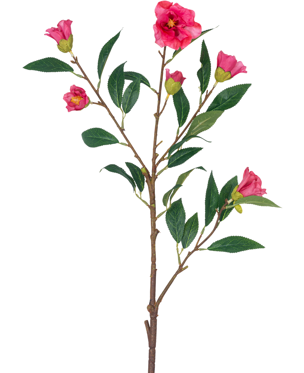 The Artificial Flower Camellia 80 cm pink is a single stem with multiple branches, green leaves and several bright pink flowers and buds, isolated on a white background.