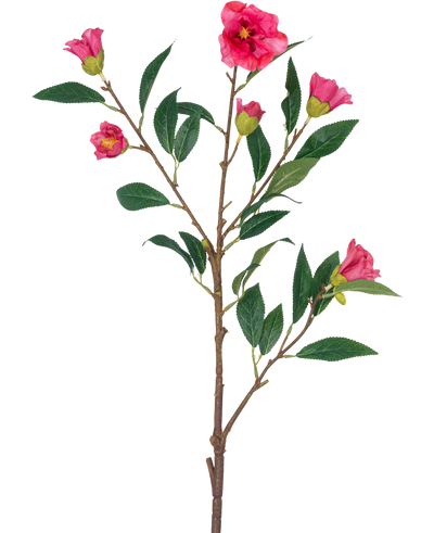 De Kunstbloem Camellia 80 cm roze is een enkele stengel met meerdere takken, groene bladeren en verschillende felroze bloemen en knoppen, geïsoleerd op een witte achtergrond.