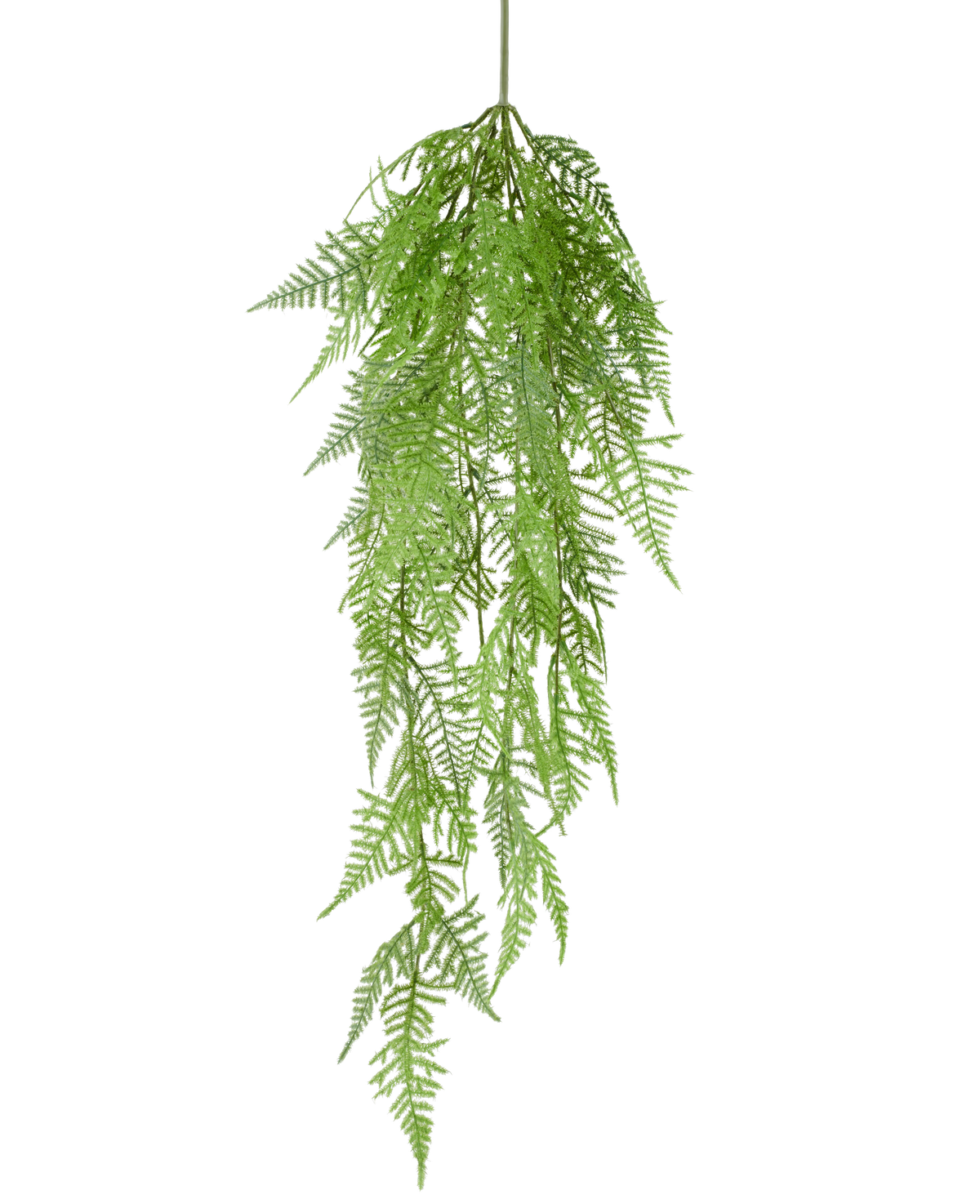 The Artificial Hanging Plant Asparagus Fern 84 cm has delicate, feathery green leaves and detailed patterns, which hang gracefully down against a plain white background.