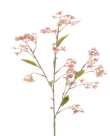 A single stem of the Artificial Flower Daphne of 108 cm in old pink, with small bunches of soft pink flowers and some green leaves against a white background.