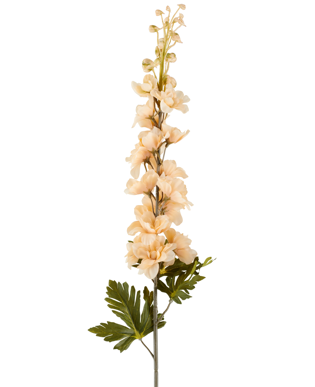 A single stem of Artificial Delphinium flower 79 cm cream/brown, with multiple cream-colored and brown blossoms and green leaves, depicted against a white background.