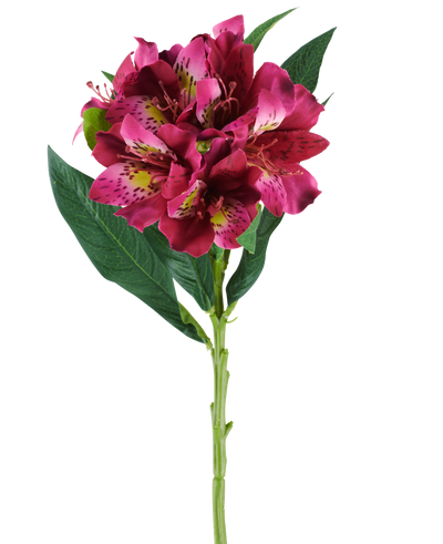A single stem of the Artificial Alstroemeria flower measuring 74 cm in red and purple tones, with lifelike flowers and green leaves, isolated against a white background.