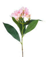 A 75cm artificial Plumeria flower, pink/cream, with one stem, large green leaves and a cluster of pale pink plumeria flowers at the top, pictured against a white background.