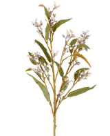 A single 78cm Artificial Flower Eucalyptus stem in cream/brown, with several branches of green leaves and clusters of small, round flowers, pictured against a plain white background.