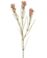 A single 78cm Artificial Flower Wax in old pink has a green stem with three branches, each bearing small, delicate old pink flowers and thin, needle-like leaves, displayed against a plain white background.