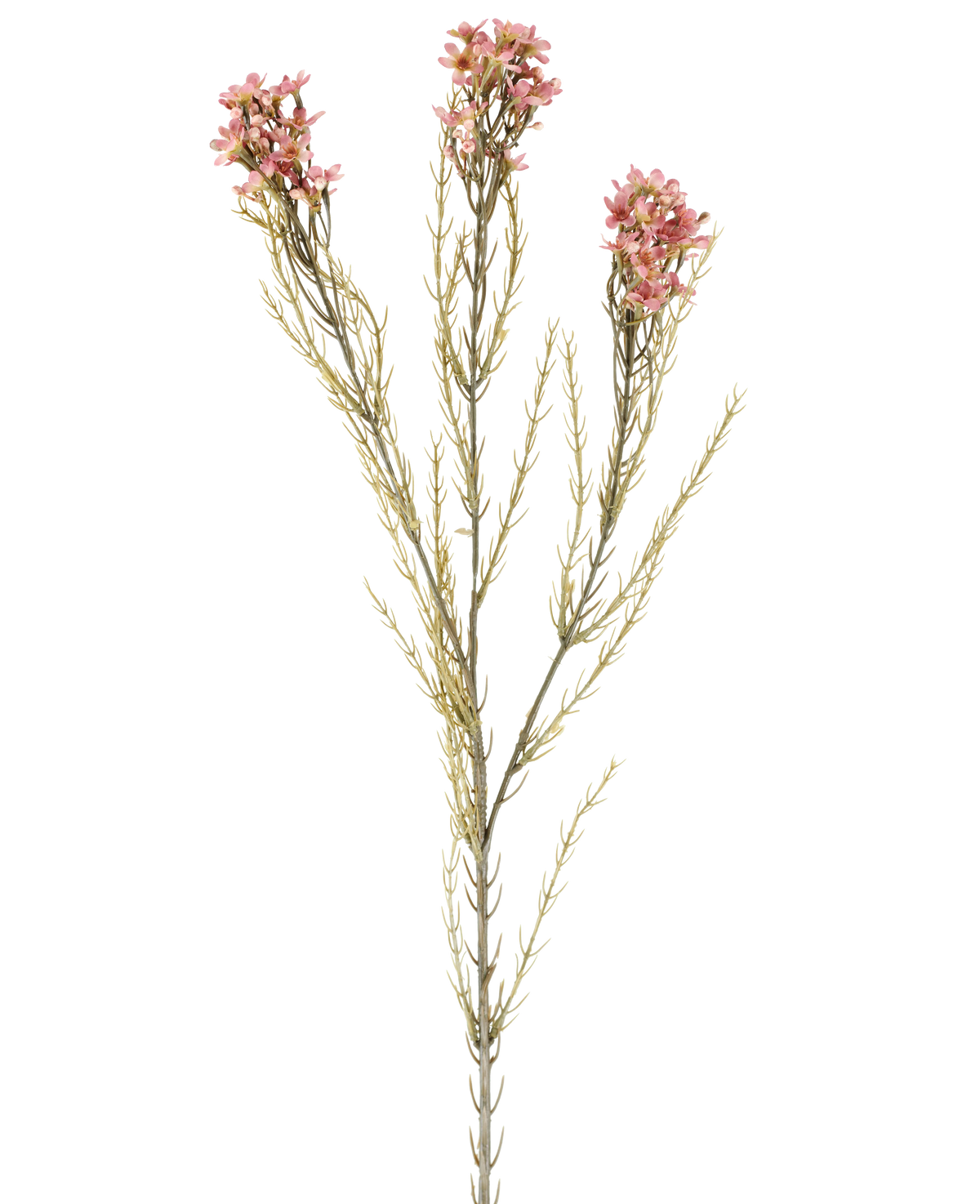 A single 78cm Artificial Flower Wax in old pink has a green stem with three branches, each bearing small, delicate old pink flowers and thin, needle-like leaves, displayed against a plain white background.