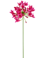 A single, long green stem of the Artificial Flower Agapanthus 75 fuchsia bears a cluster of vibrant pink flowers at the top, standing out against a plain white background.