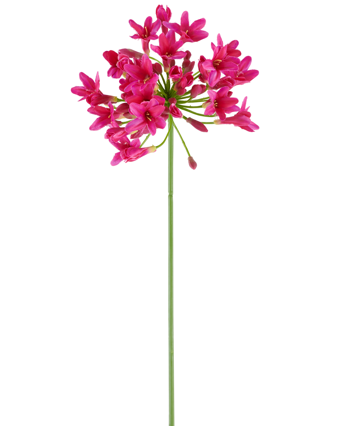 A single, long green stem of the Artificial Flower Agapanthus 75 fuchsia bears a cluster of vibrant pink flowers at the top, standing out against a plain white background.