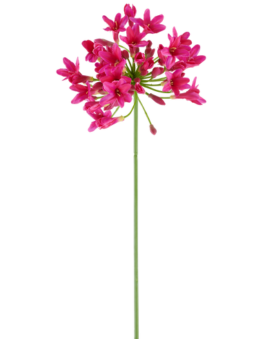 A single, long green stem of the Artificial Flower Agapanthus 75 fuchsia bears a cluster of vibrant pink flowers at the top, standing out against a plain white background.