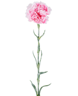 Artificial flower: 68 cm carnation, pink, with ruffled pink petals on a long green stem, isolated against a white background.