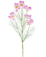 A 78 cm Artificial Flower Cosmo in cream/pink, with multiple light pink and white cosmos flowers and feathery green leaves, depicted against a plain white background.