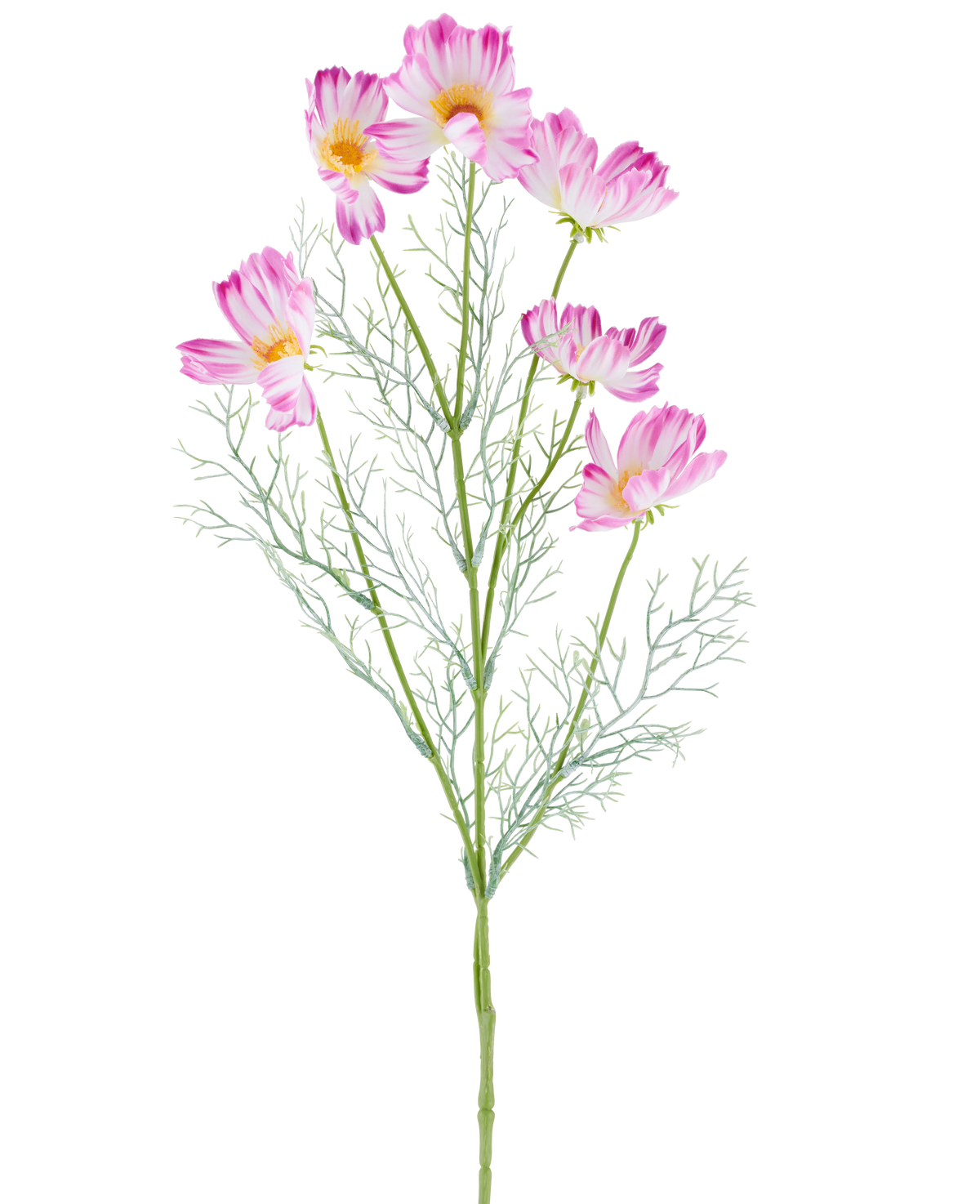 A 78 cm Artificial Flower Cosmo in cream/pink, with multiple light pink and white cosmos flowers and feathery green leaves, depicted against a plain white background.