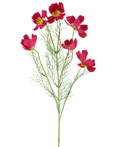 The Artificial Flower Cosmo 78 cm fuchsia consists of vibrant fuchsia-colored cosmos flowers with yellow centers and delicate, feathery green leaves, against a white background.