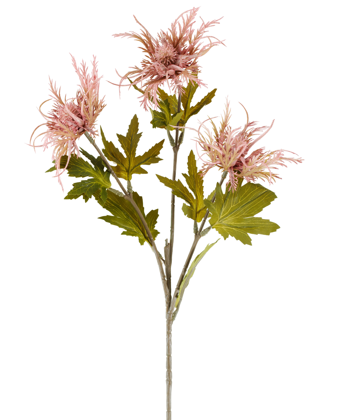 A single stem of Artificial flower Armeria maritima, 67 cm old pink, with several green leaves and three pointed, old pink flowers, depicted against a plain white background.