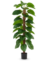 The Artificial Plant Epipremnum aureum 180 cm has large, glossy green leaves arranged along a central brown stem and comes in a small black pot, pictured against a plain white background.